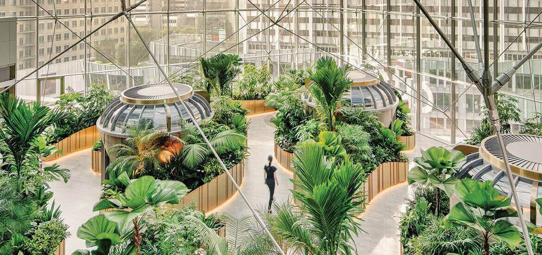 Biophilic Design: Bridging Nature and Built Environment for Human Well-being