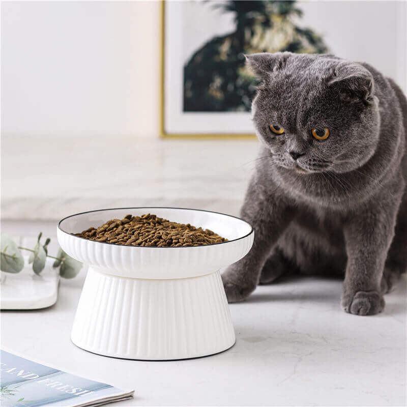 Cute Ceramic Pet Bowl, Nauradika , Pet