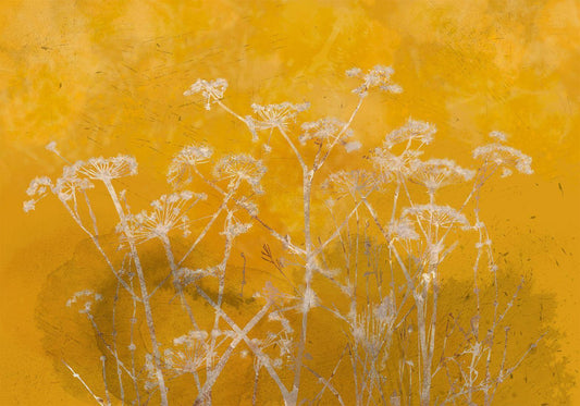 Wall Mural - Meadow Bathed in the Sun